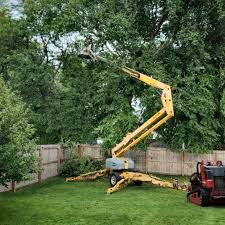 Best Utility Line Clearance  in Coatesville, PA