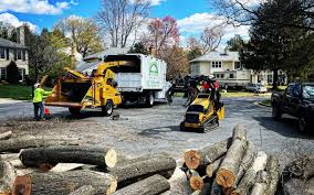 Best Tree Health Inspection  in Coatesville, PA