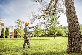 Coatesville, PA  Tree Services Company