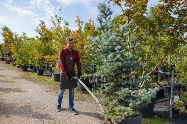 Best Hazardous Tree Removal  in Coatesville, PA